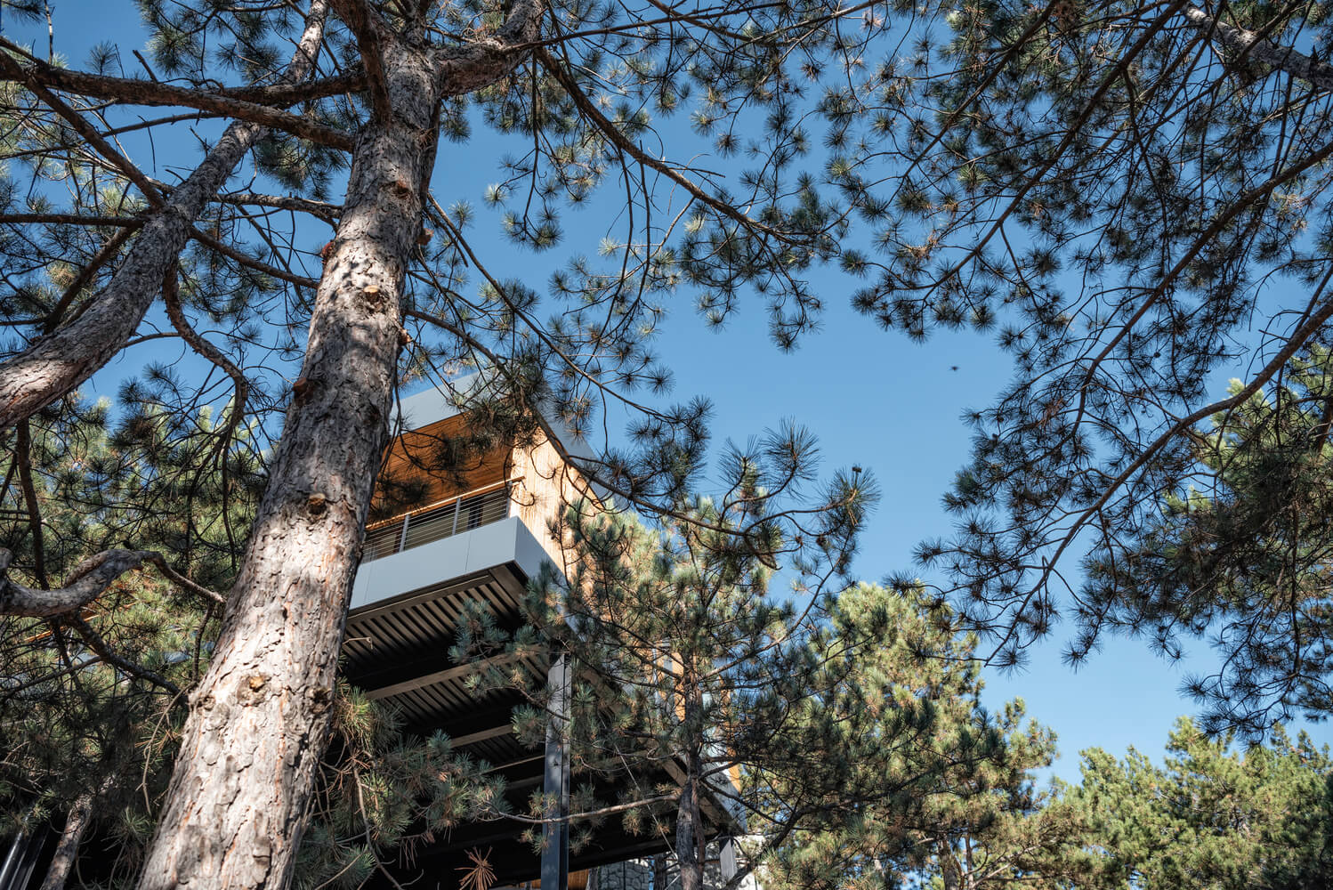 Hillside House - TWO+